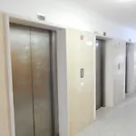 Turisticos Perola Da Rocha פורטימאו